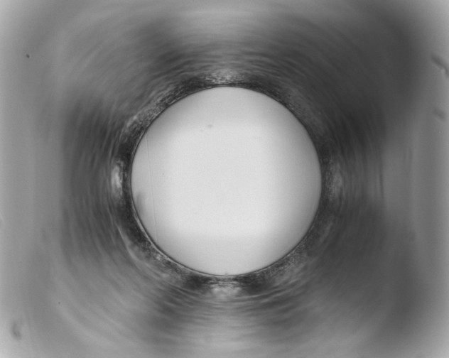 X0000103480214200810101007