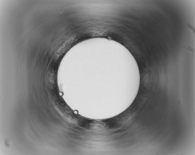 X0000103480215200810101007