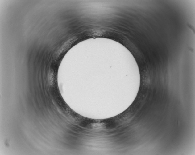 X0000103480216200810101007