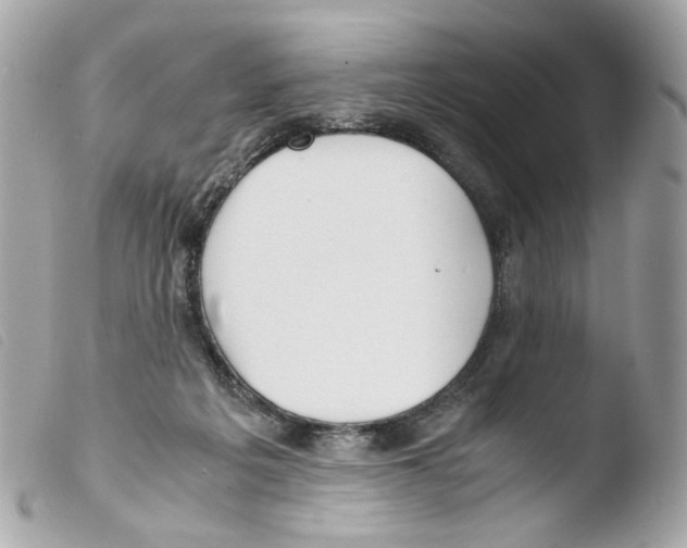 X0000103480217200810101007