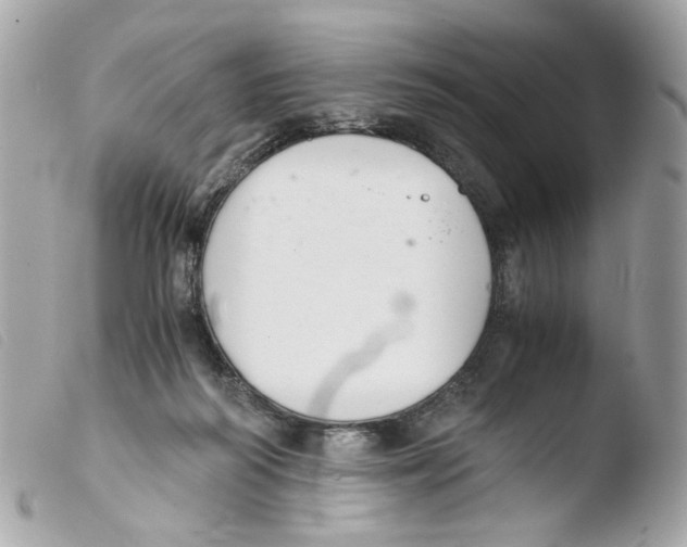 X0000103480218200810101007