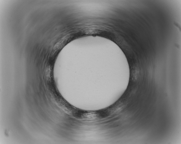 X0000103480219200810101007