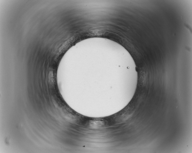 X0000103480220200810101007