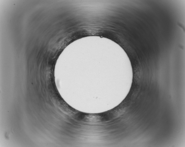 X0000103480221200810101007