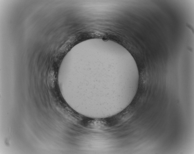 X0000103480223200810101007