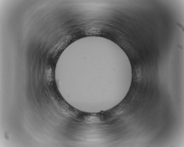 X0000103480224200810101007