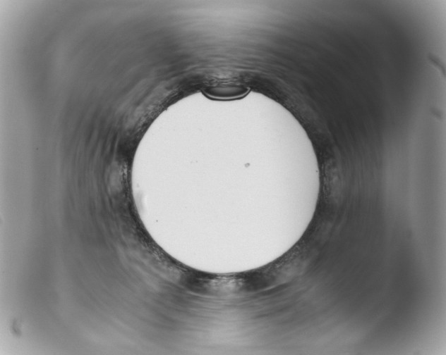 X0000103480225200810101007