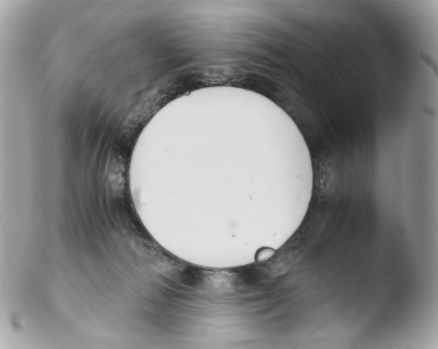 X0000103480226200810101007