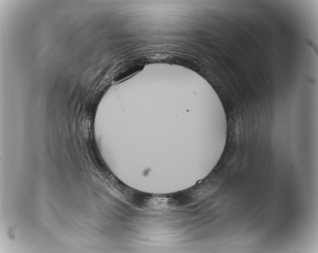 X0000103480227200810101007