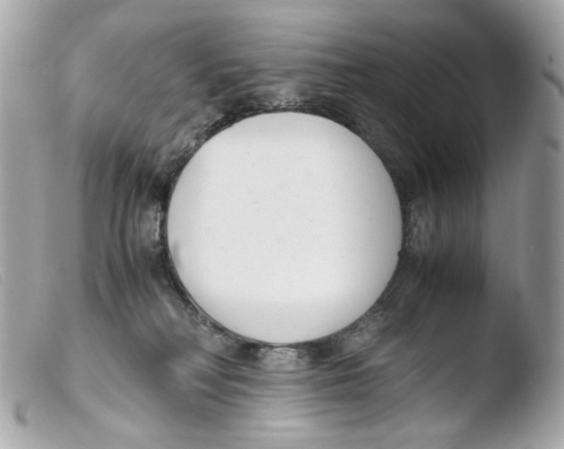 X0000103480230200810101007