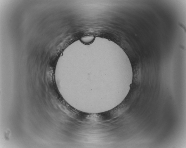 X0000103480231200810101007