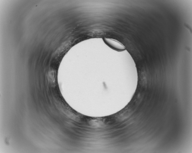 X0000103480232200810101007