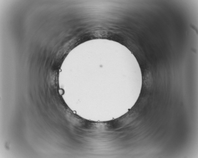 X0000103480233200810101007