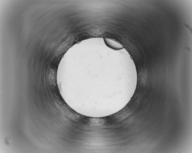 X0000103480234200810101006