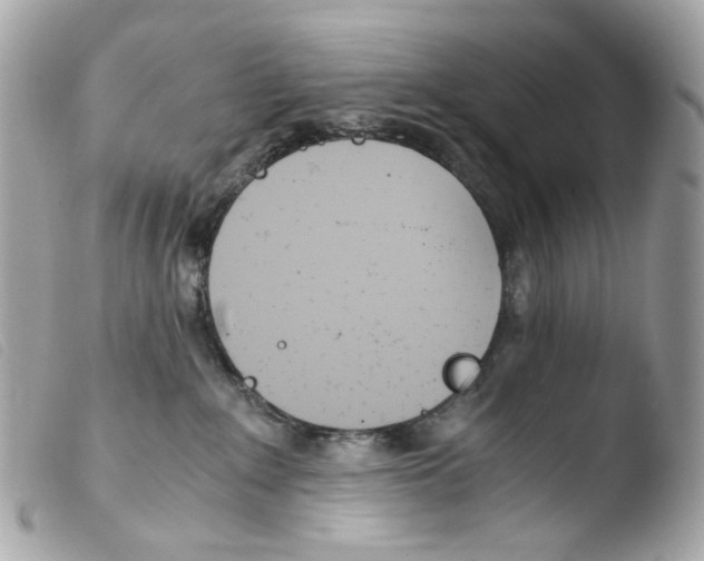 X0000103480235200810101006