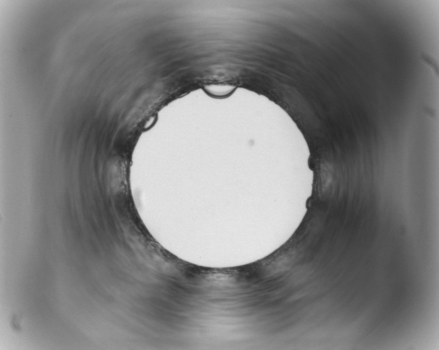 X0000103480236200810101006