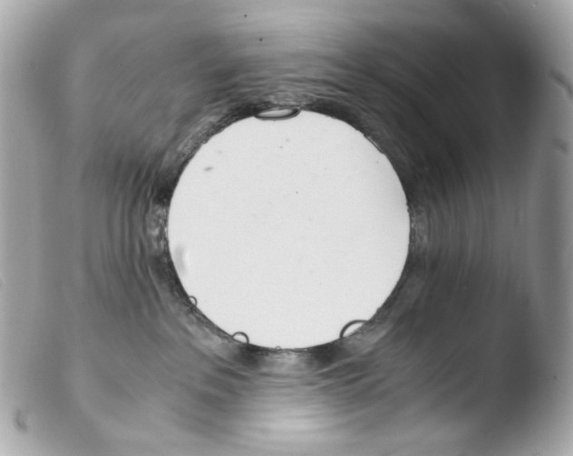 X0000103480237200810101006