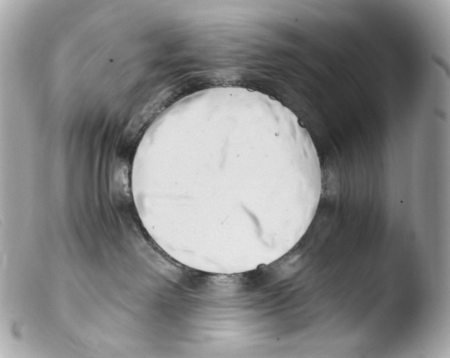 X0000103480238200810101006