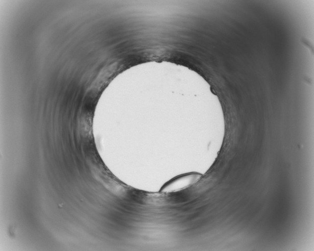 X0000103480240200810101006