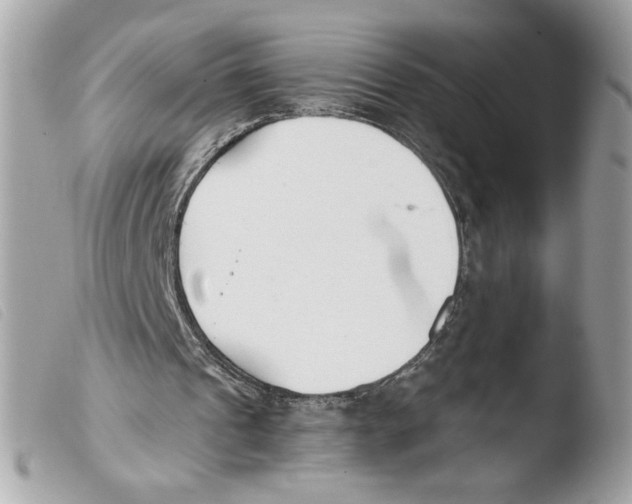 X0000103480241200810101006