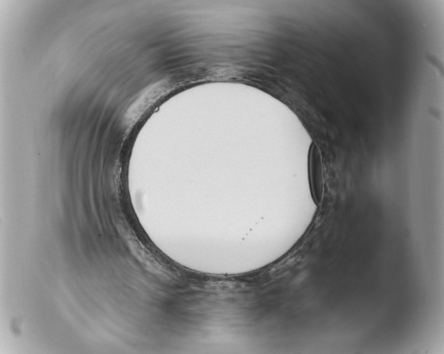 X0000103480242200810101006