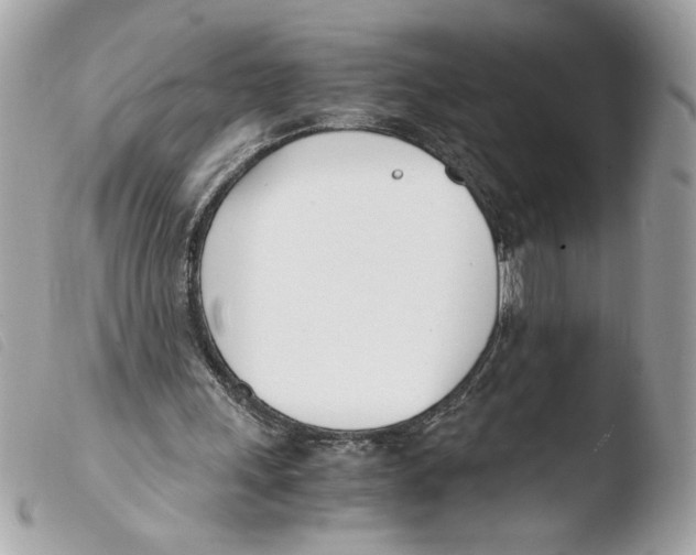 X0000103480243200810101006