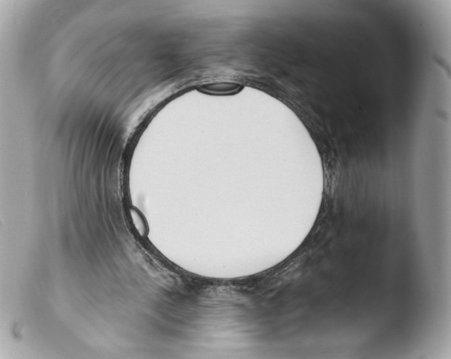 X0000103480244200810101006