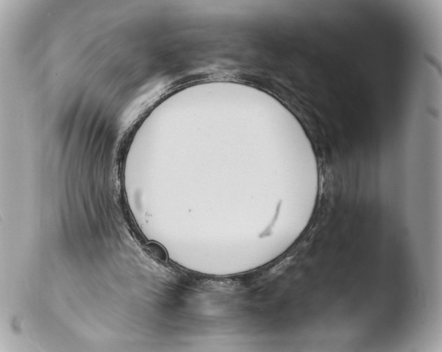 X0000103480245200810101006