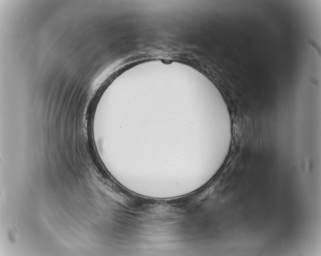 X0000103480246200810101006