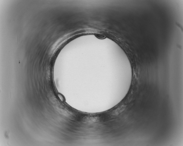 X0000103480247200810101006