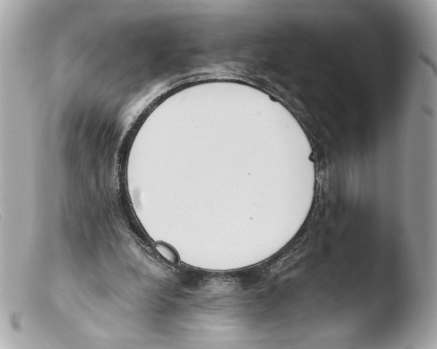 X0000103480248200810101006