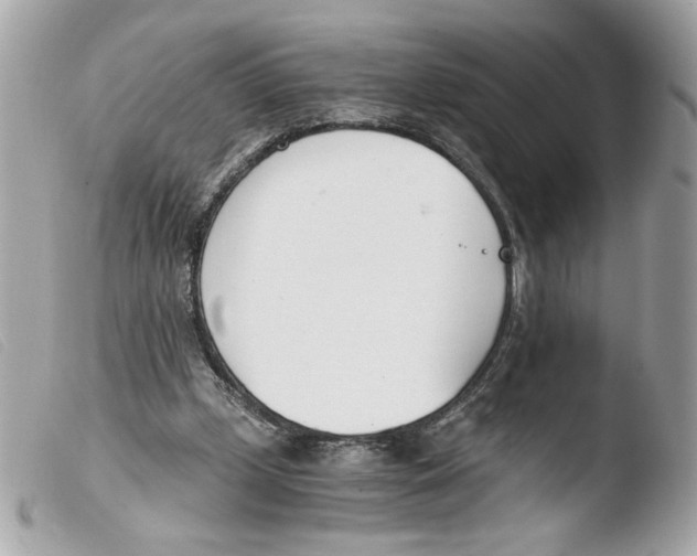 X0000103480249200810101006