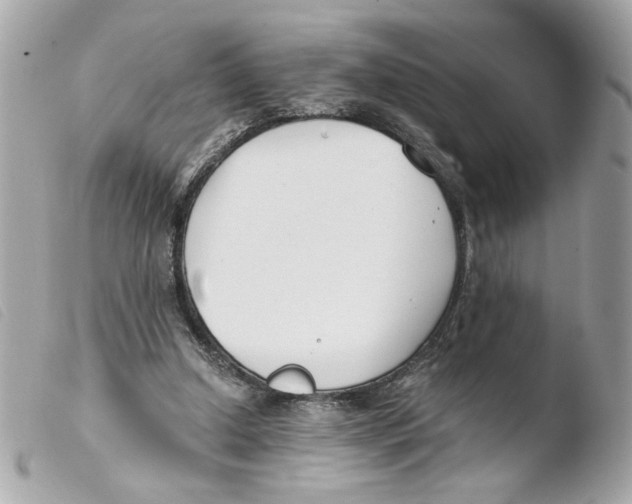 X0000103480250200810101006