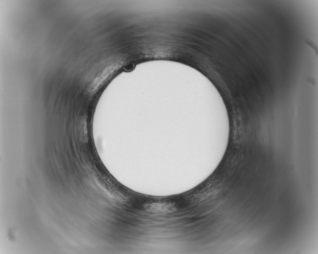 X0000103480251200810101006