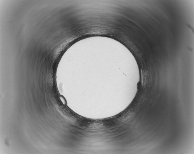 X0000103480252200810101006