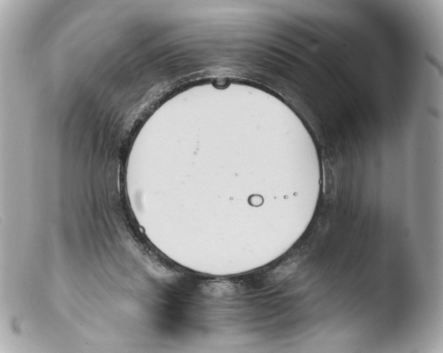 X0000103480253200810101006