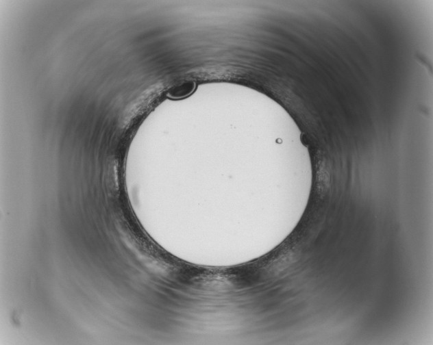 X0000103480254200810101006