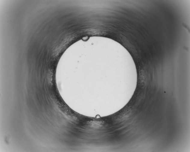 X0000103480255200810101006