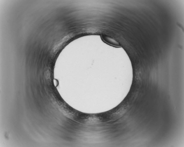 X0000103480256200810101006
