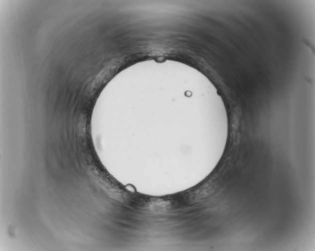 X0000103480257200810101006