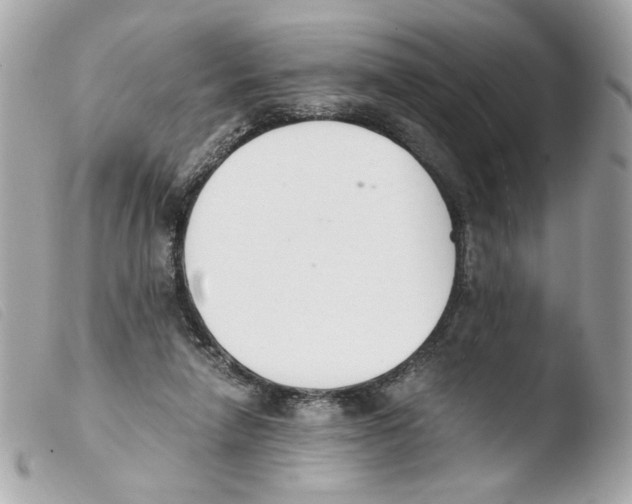 X0000103480258200810101006