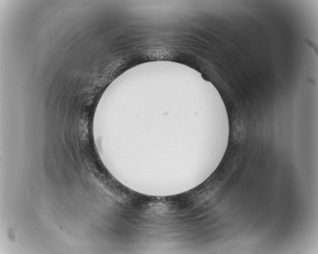 X0000103480259200810101006