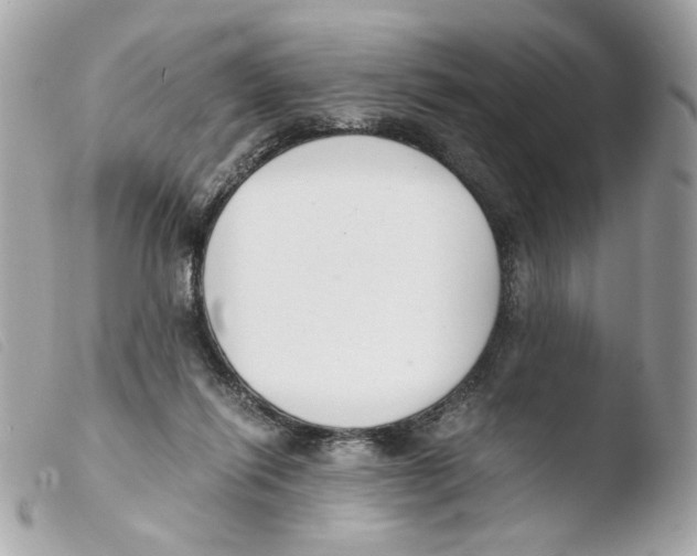 X0000103480262200810101006
