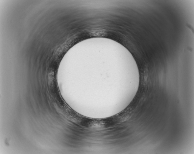X0000103480263200810101006