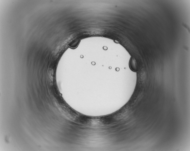 X0000103480264200810101006