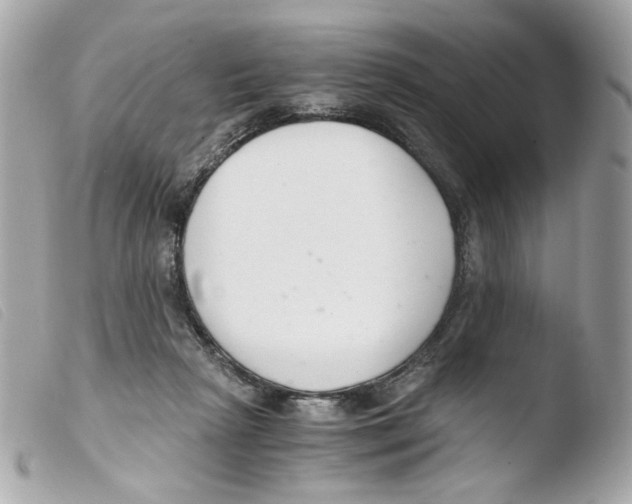 X0000103480265200810101006