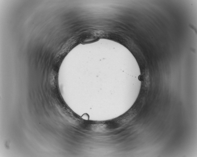 X0000103480266200810101006