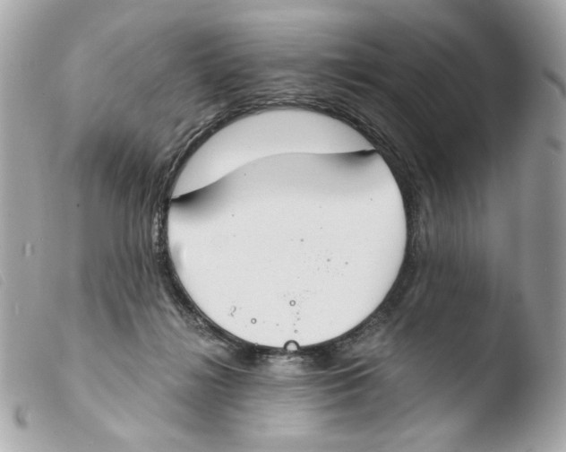 X0000103480268200810101006