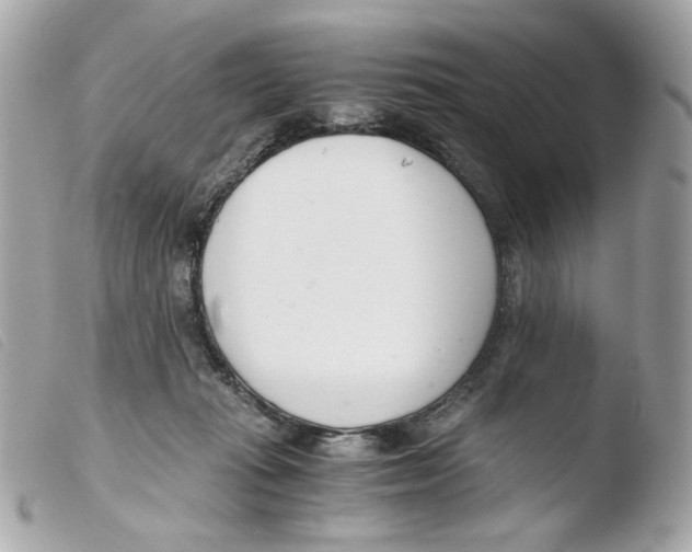 X0000103480269200810101006