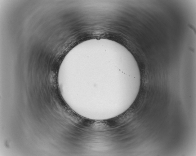 X0000103480270200810101006